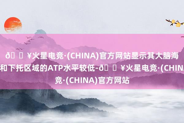 🔥火星电竞·(CHINA)官方网站显示其大脑海马体、皮质和下托区域的ATP水平较低-🔥火星电竞·(CHINA)官方网站